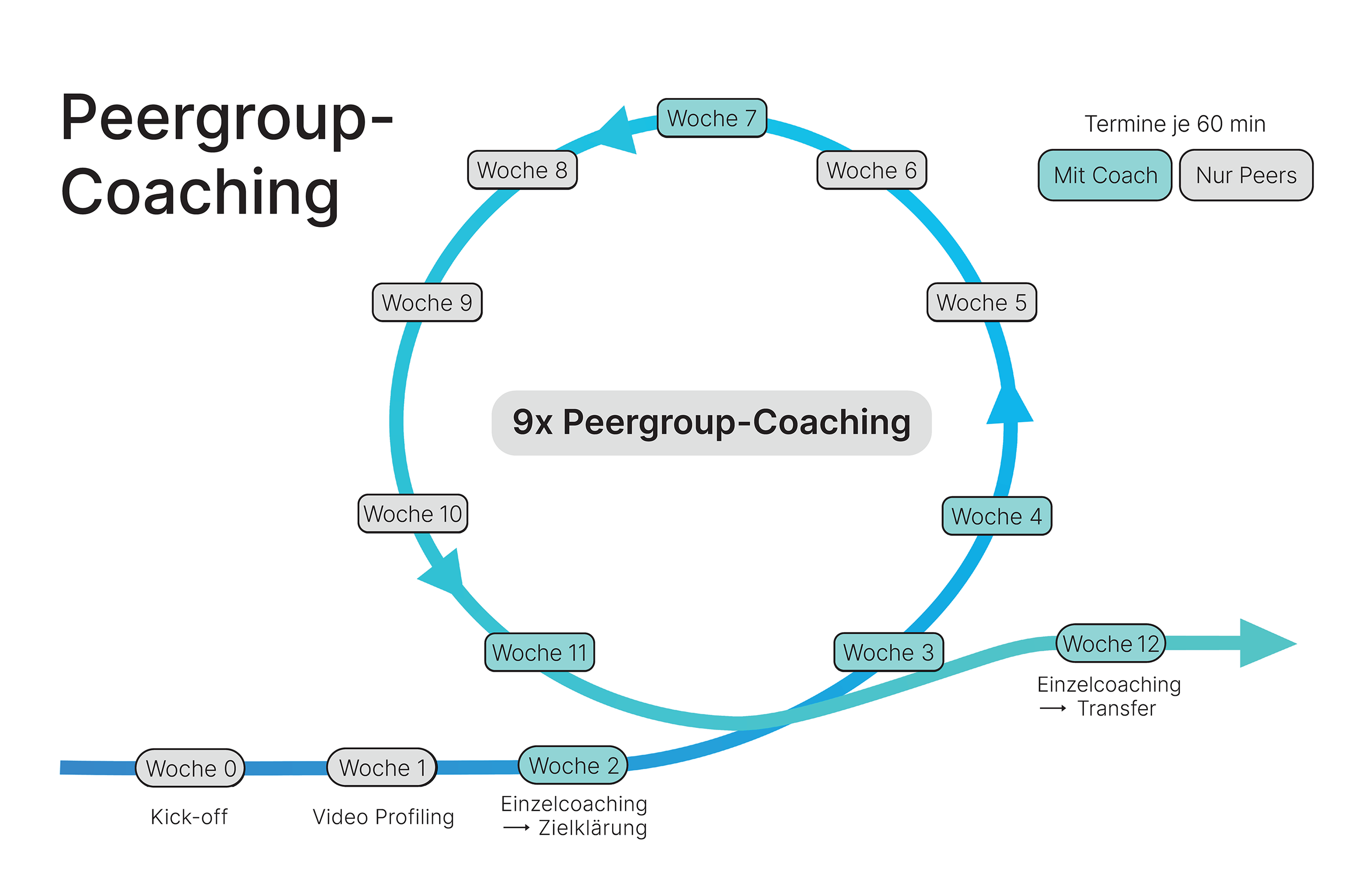 Schaubild Peergroup-Coaching