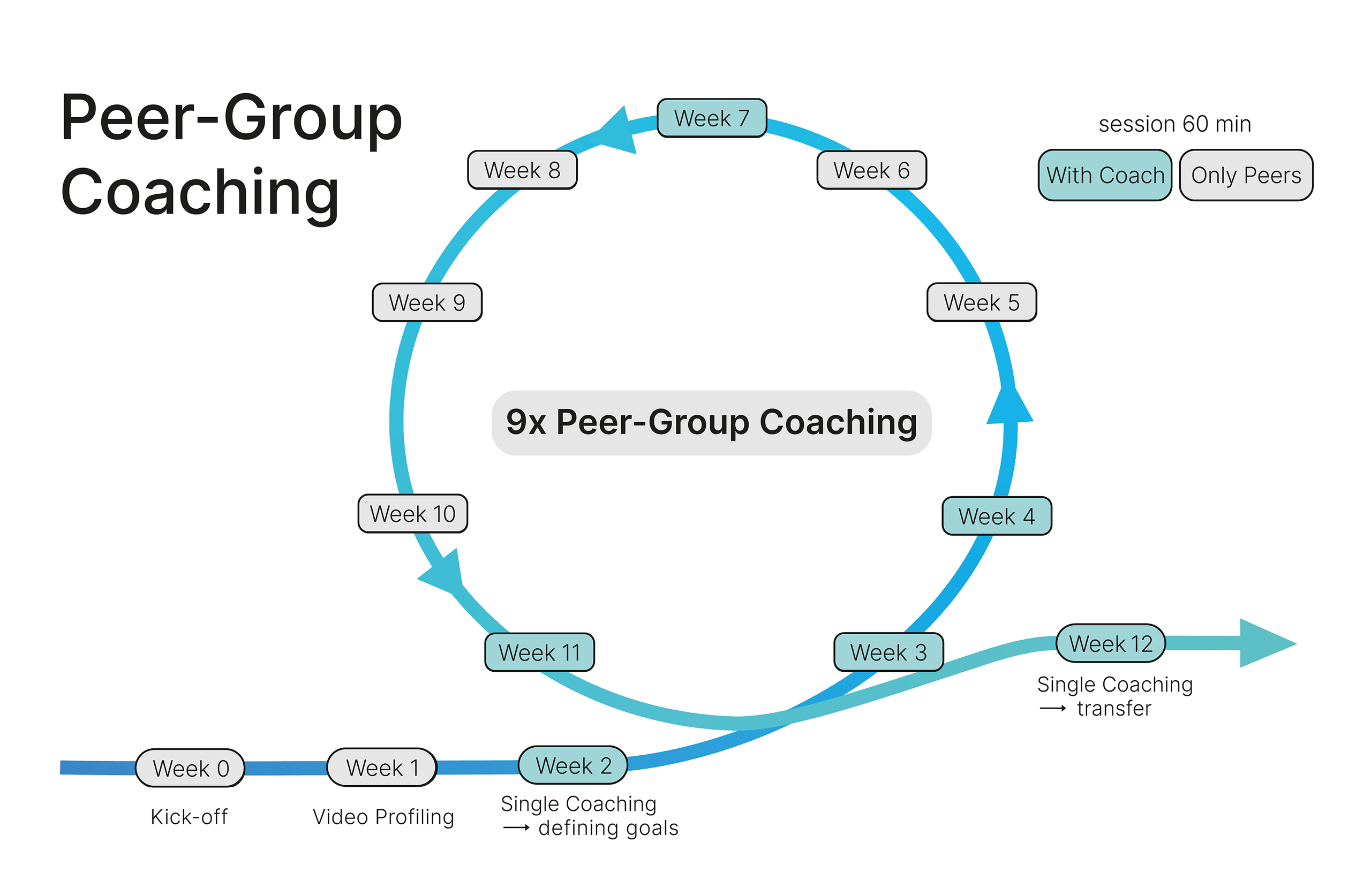 Advanced peer group coaching
