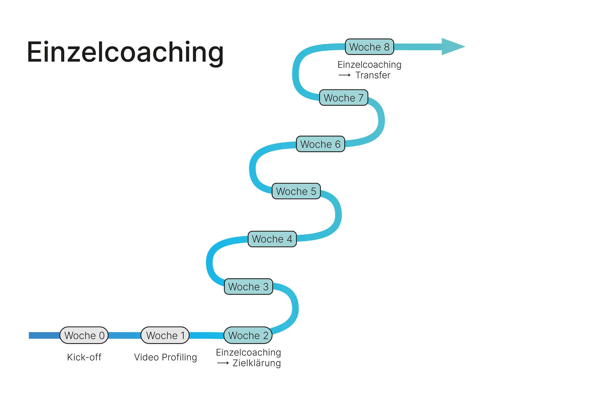 Schaubild Einzelcoaching