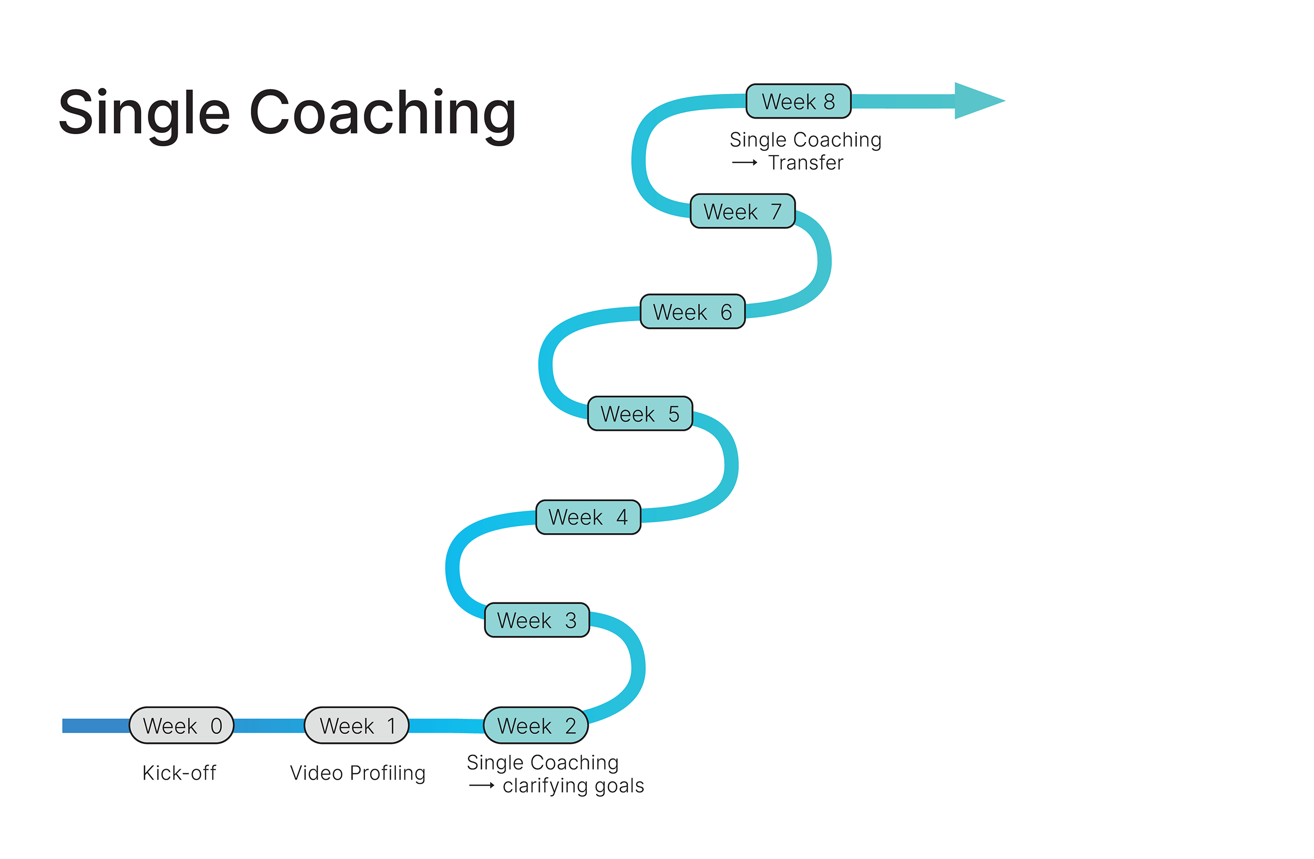 Diagram of single coaching